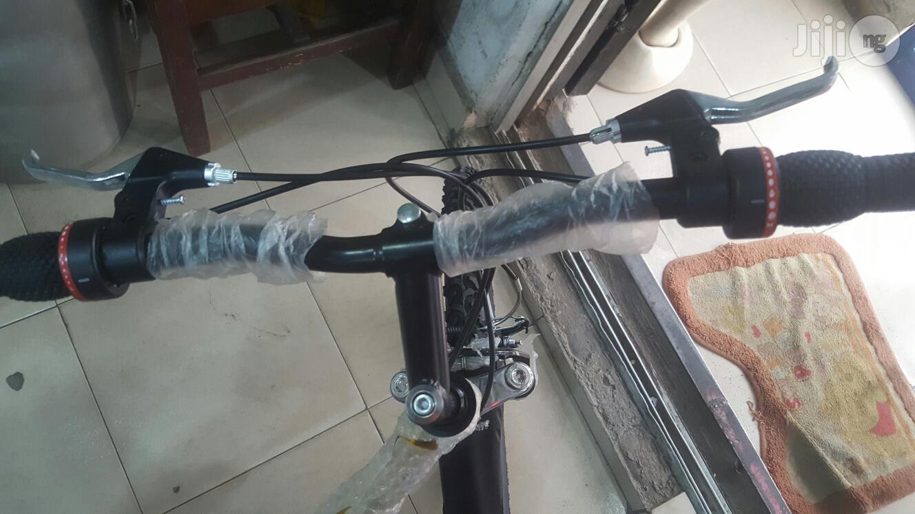 Adult Cycling Bike