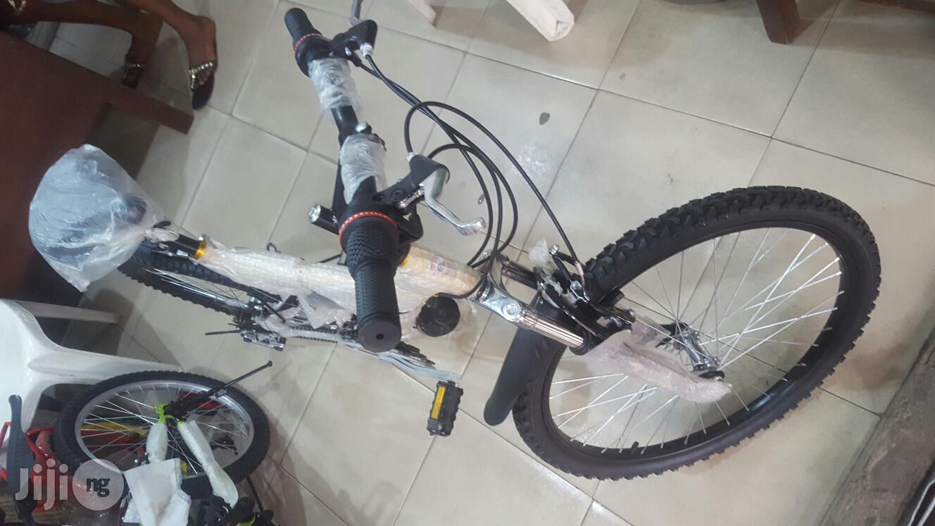 Adult Cycling Bike