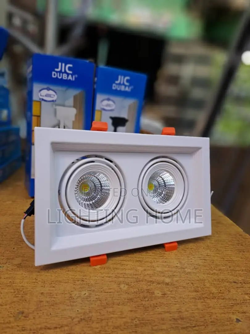 2in1 Spot Light