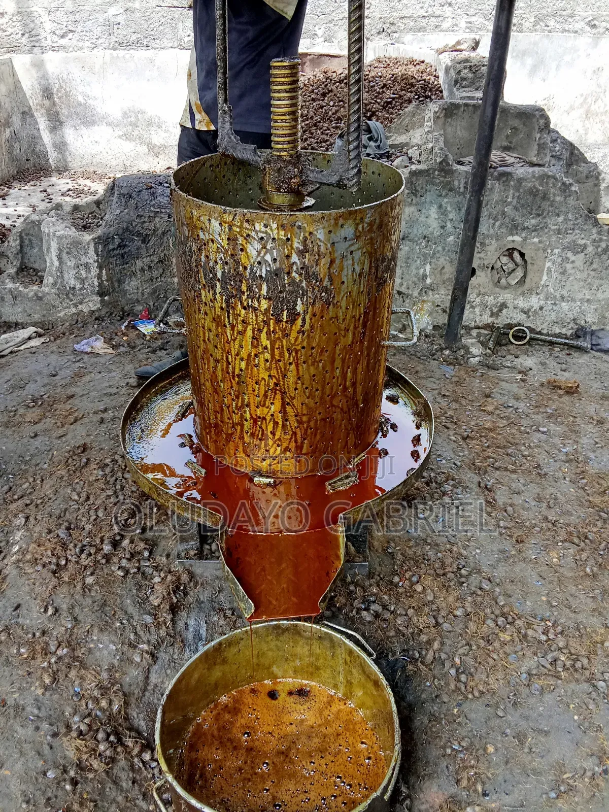 Palm Oil Pressers for Sale