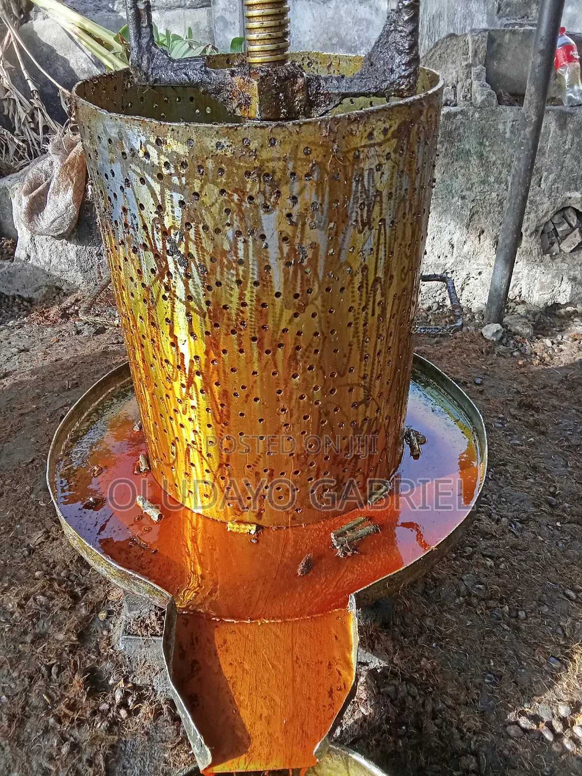 Palm Oil Pressers for Sale