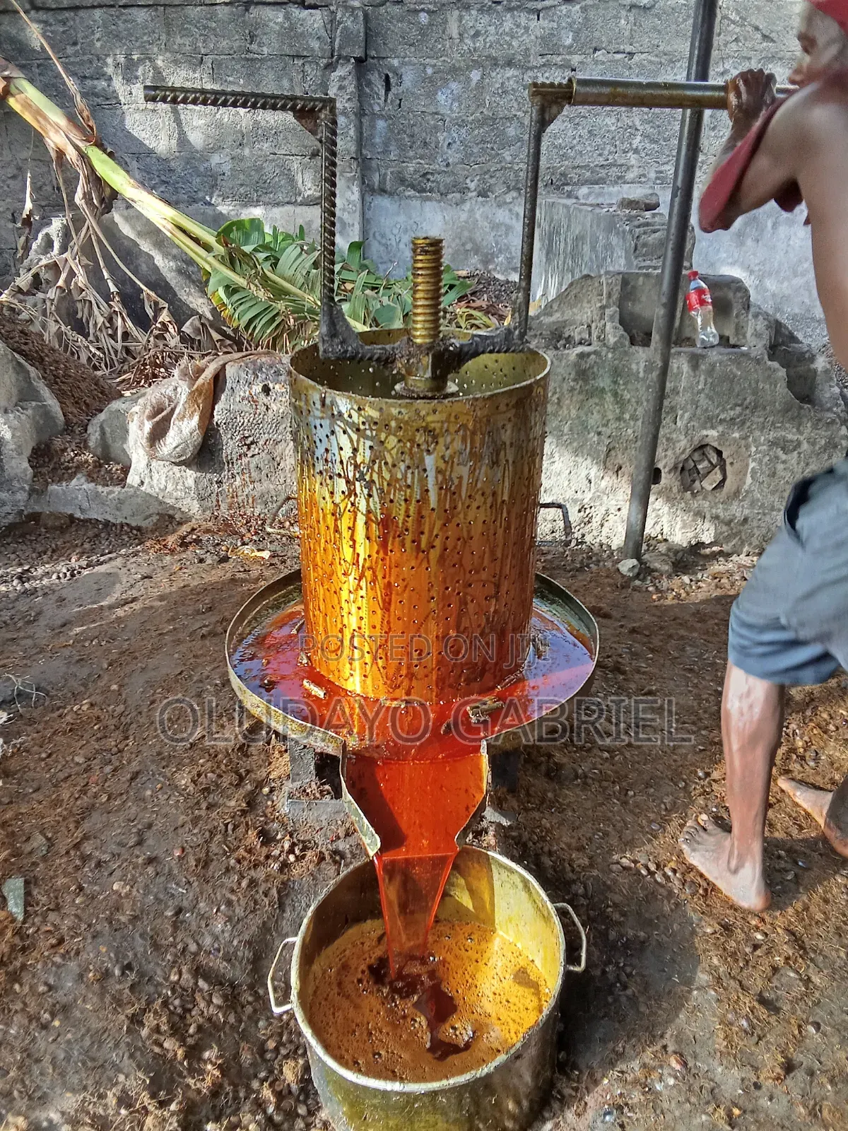 Palm Oil Pressers for Sale