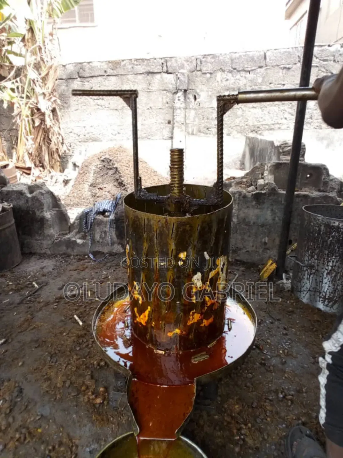 Palm Oil Pressers for Sale