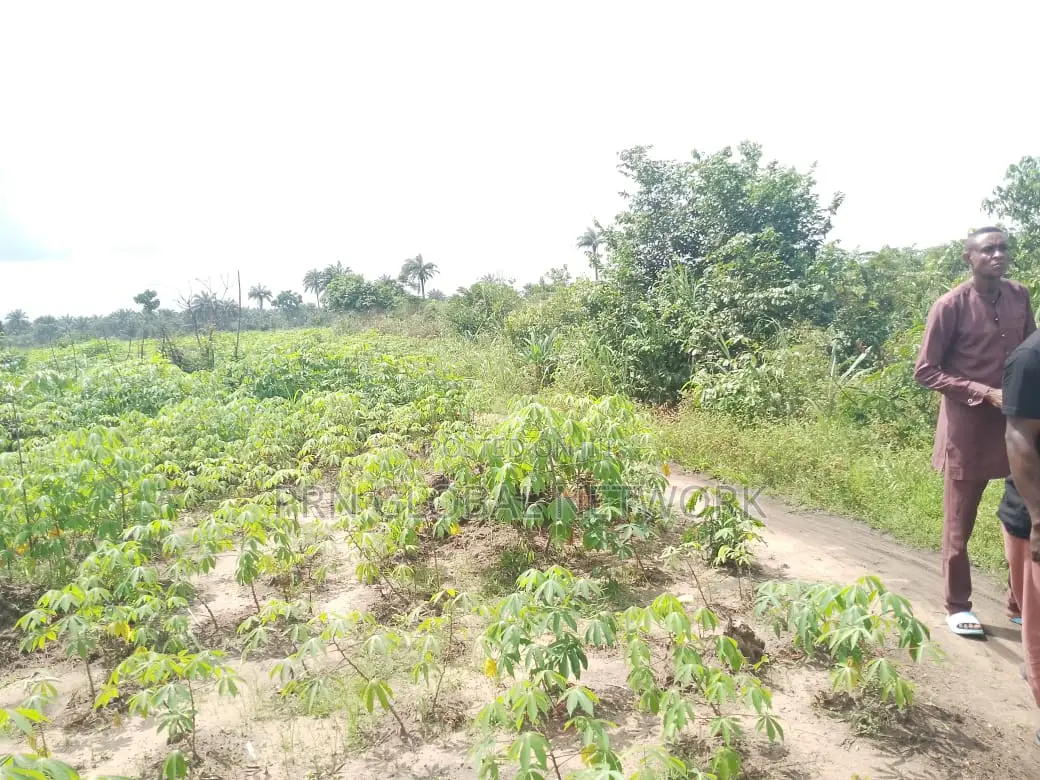 Strategic 31 Plots of Land