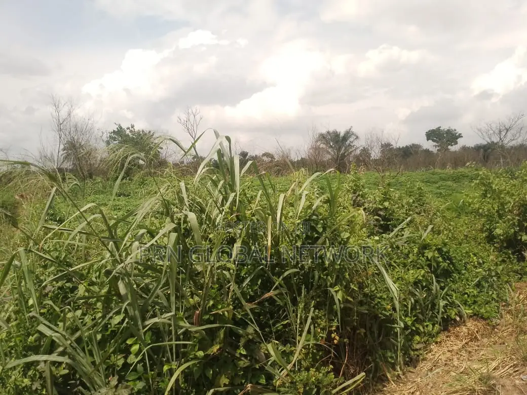 Strategic 31 Plots of Land