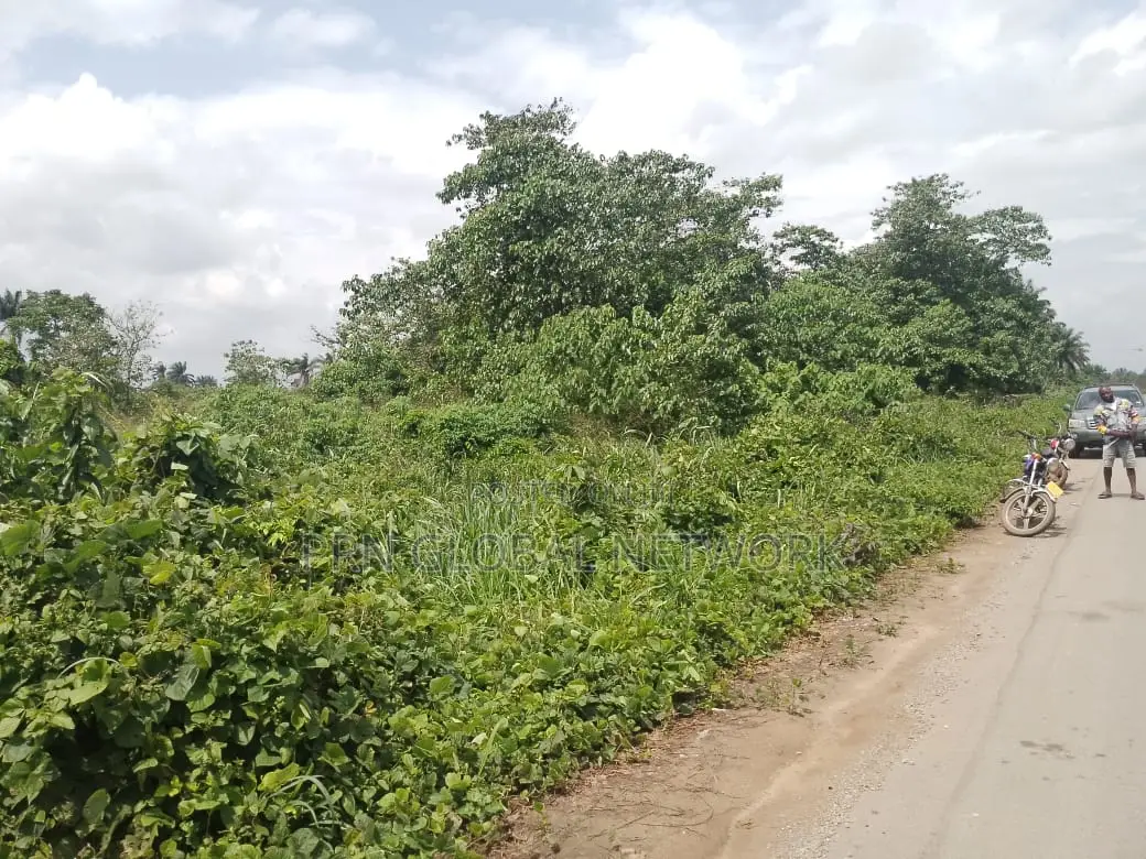 Strategic 31 Plots of Land