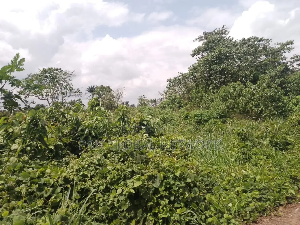 Strategic 31 Plots of Land
