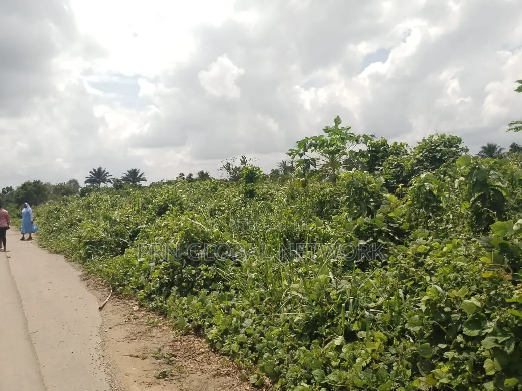 Strategic 31 Plots of Land
