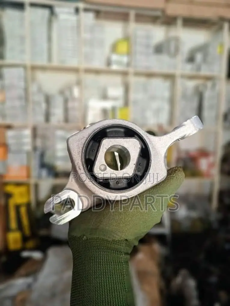 Mercedes Gl450 Lower Arm Bushing