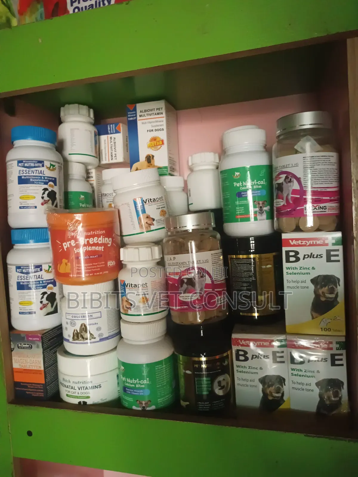 Multivitamin Supplement for Dog and Cat