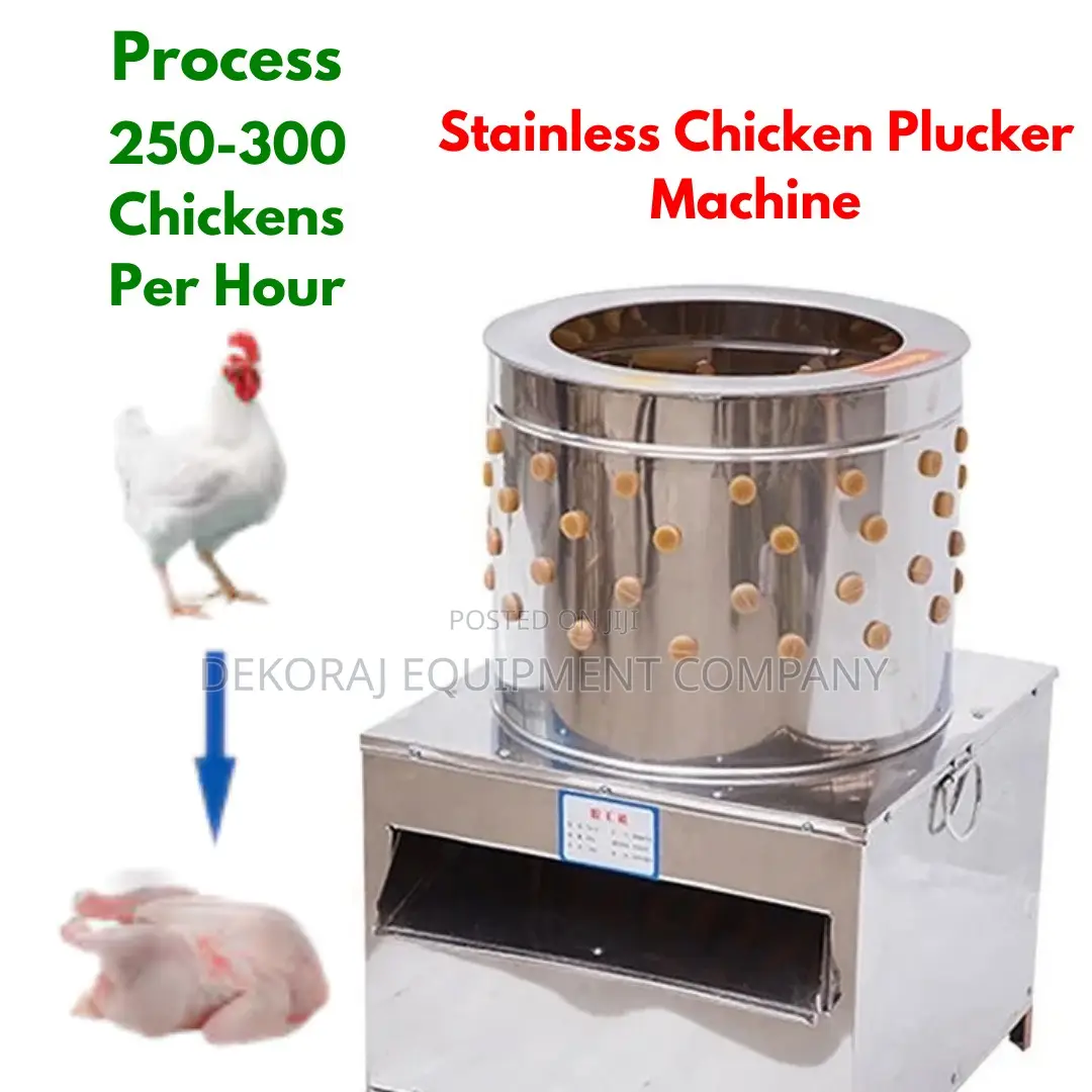 Easy Maintenance 250-300 Per Hour Chicken Plucker Machine