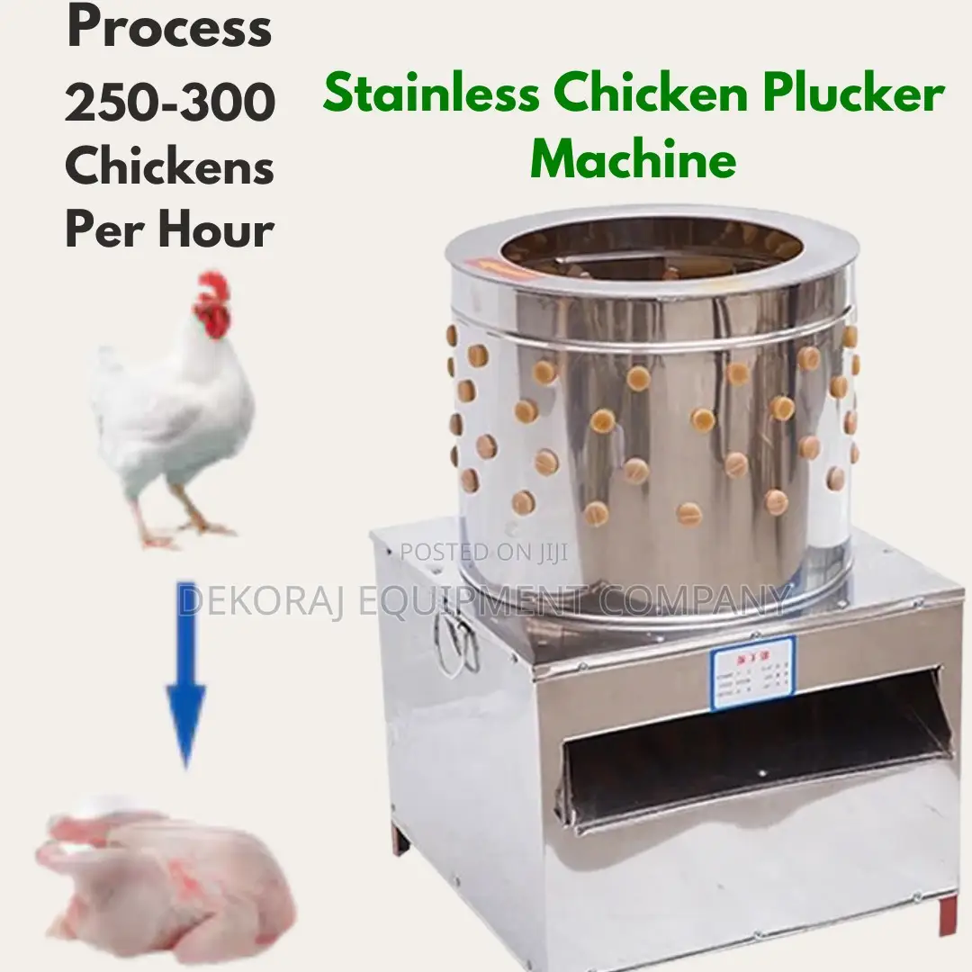Compact 300/Hr Chicken Defeathering Machine for Easy Storage