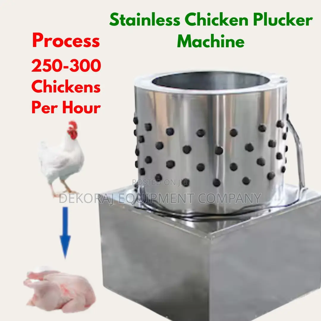 Cost-Effective 300/Hr Chicken Defeathering Machine Solution
