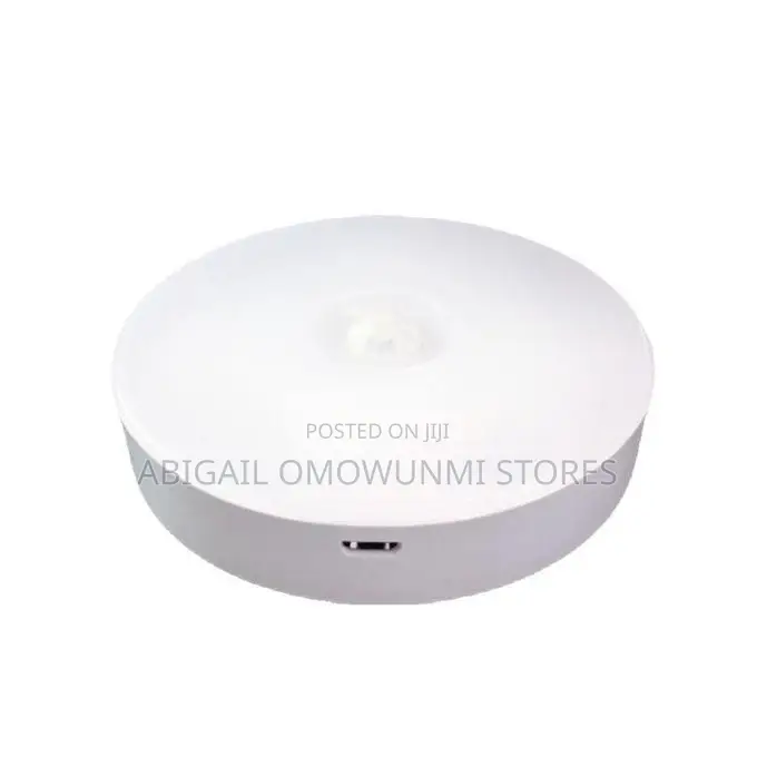 Led Human Body Induction Suction Light
