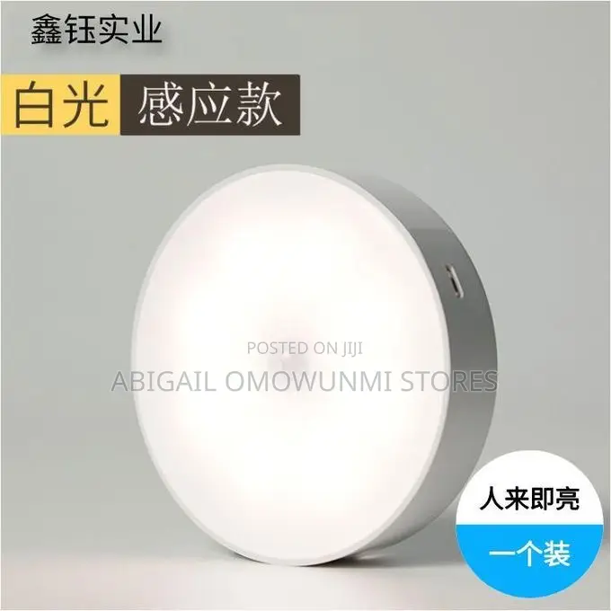 Led Human Body Induction Suction Light