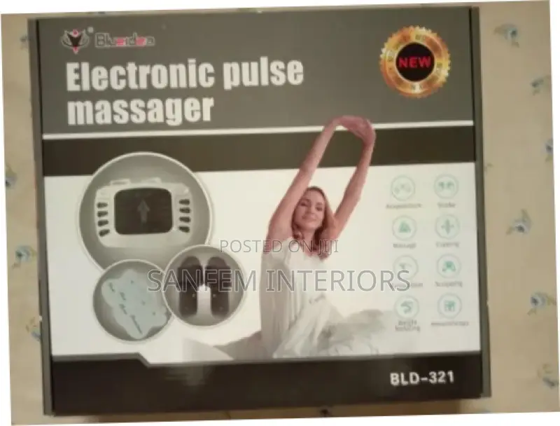 Electronic Pulse Massager