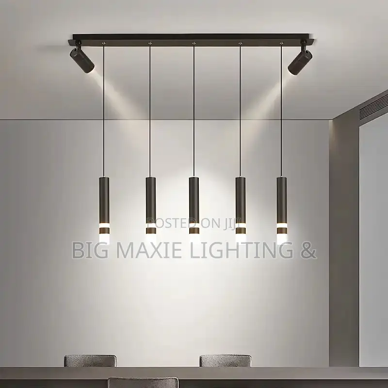 Modern LED Pendant Light With Spotlight
