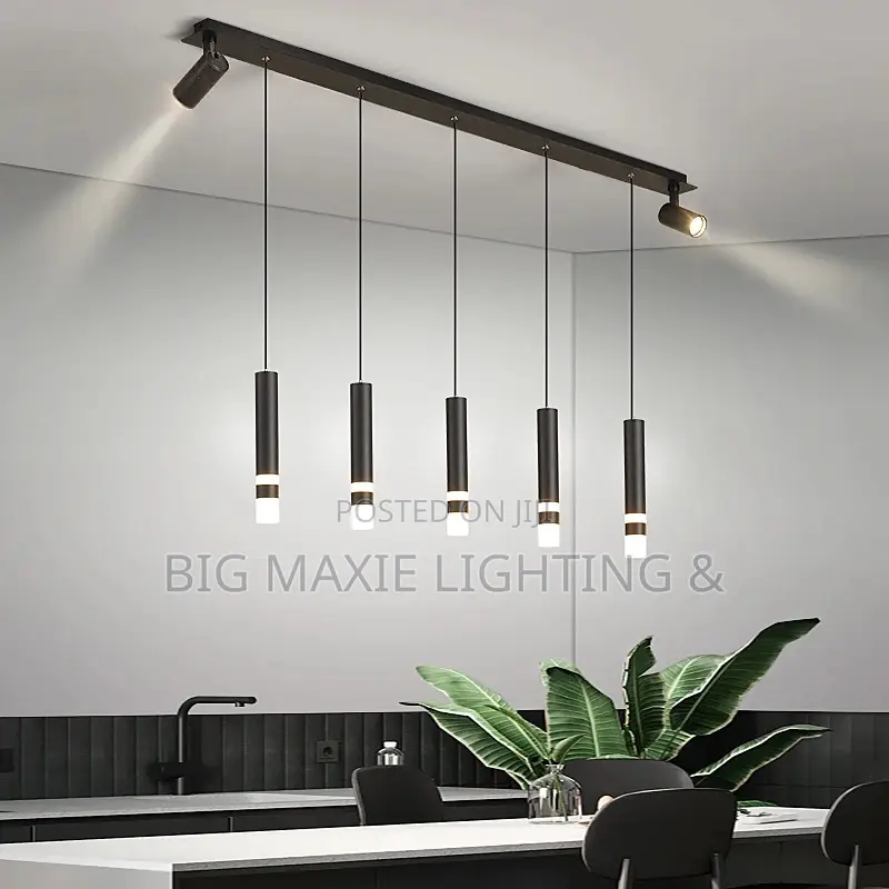 Modern LED Pendant Light With Spotlight
