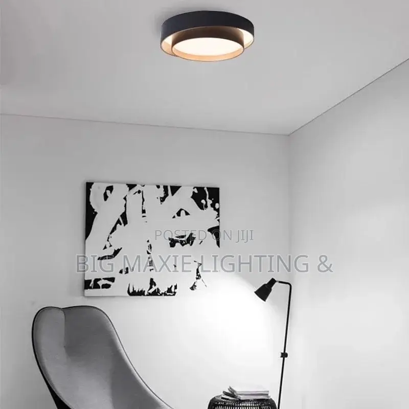 Nordic LED Ceiling Chandelier