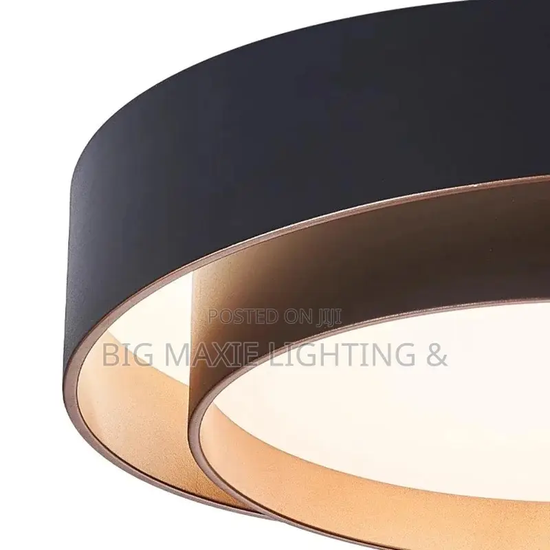 Nordic LED Ceiling Chandelier