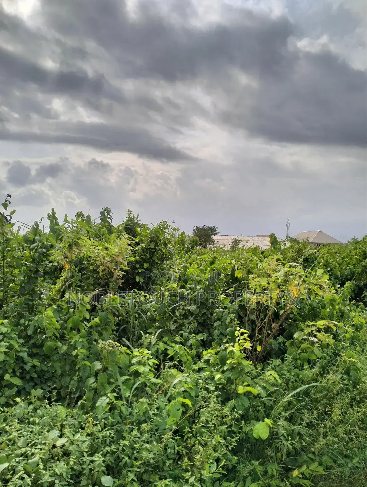 6plots Together Dry Table Land at Ota Ogun State