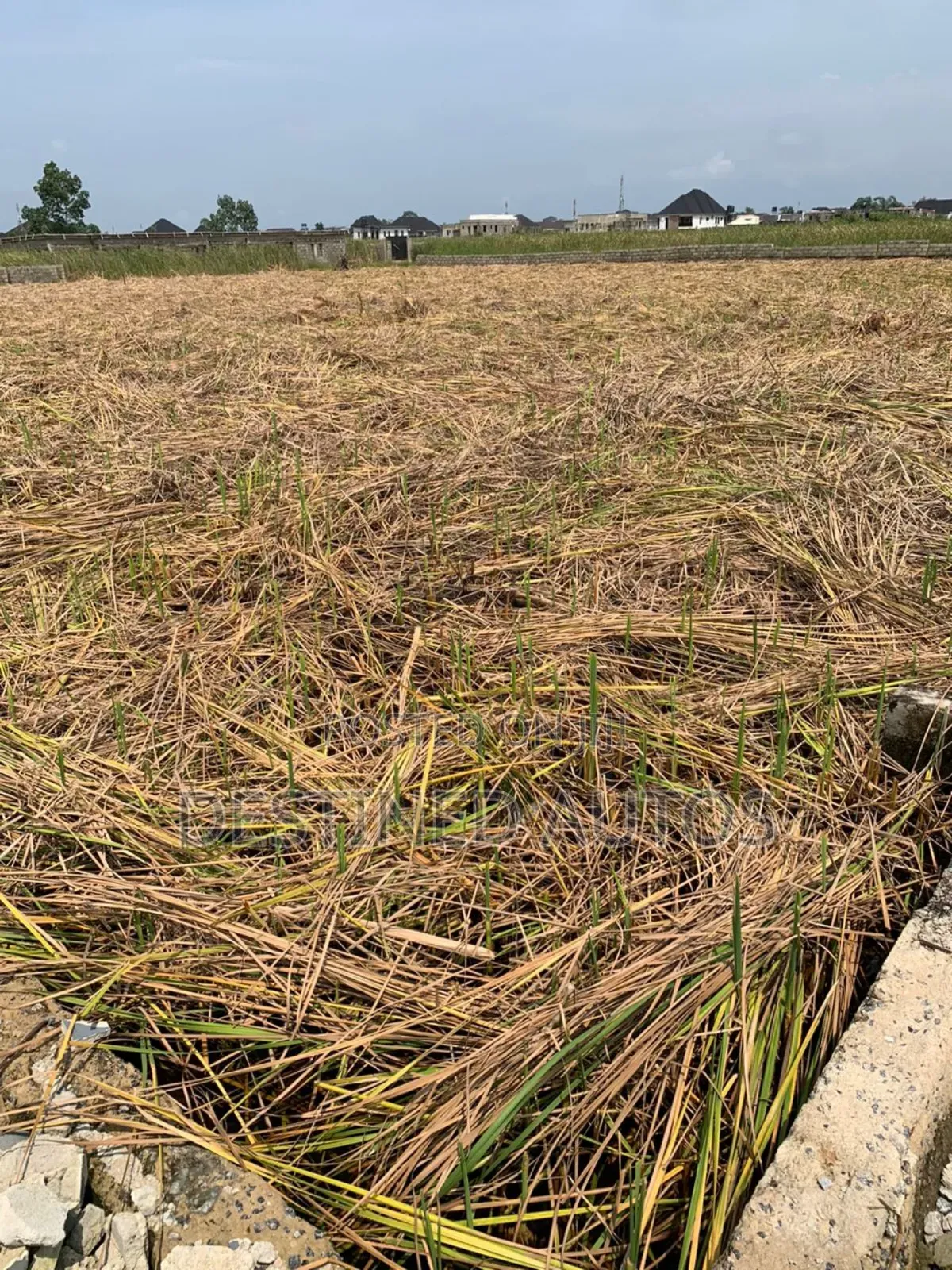 6 Plots of Land in Sun View Estate Ajah