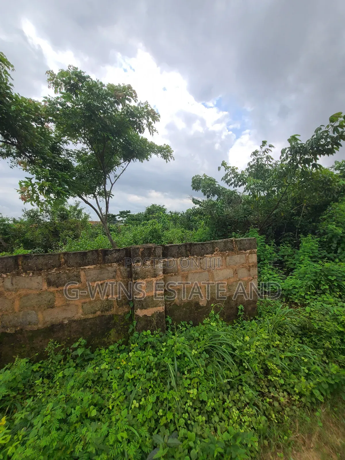 100x150ft for Sale Okhuoromi Off Airport Road
