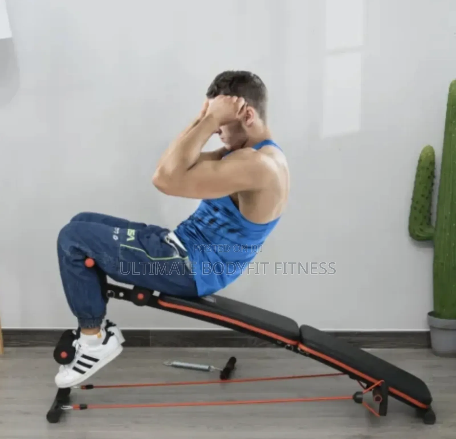 Brand New Cruve Foldable Sit Up Bench