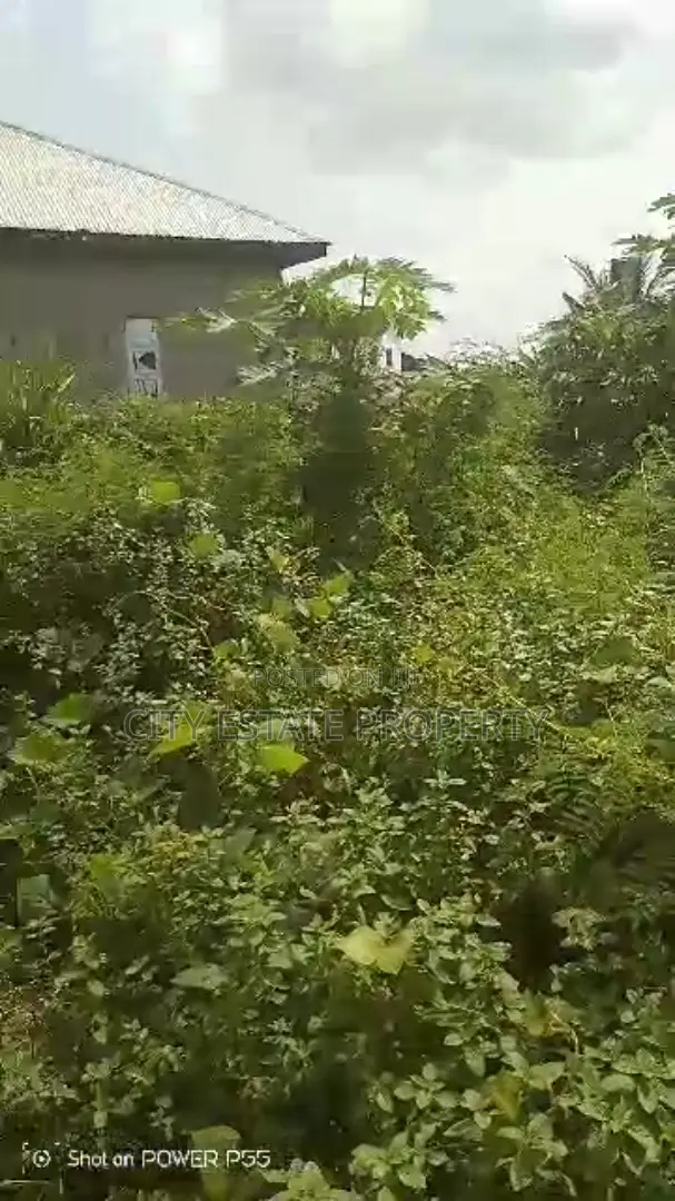 One Plot of Land for Sale in Portharcourt
