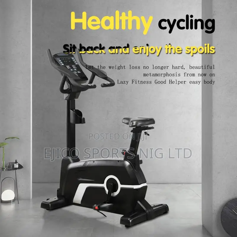 Standard Commercial Magnetic Bike