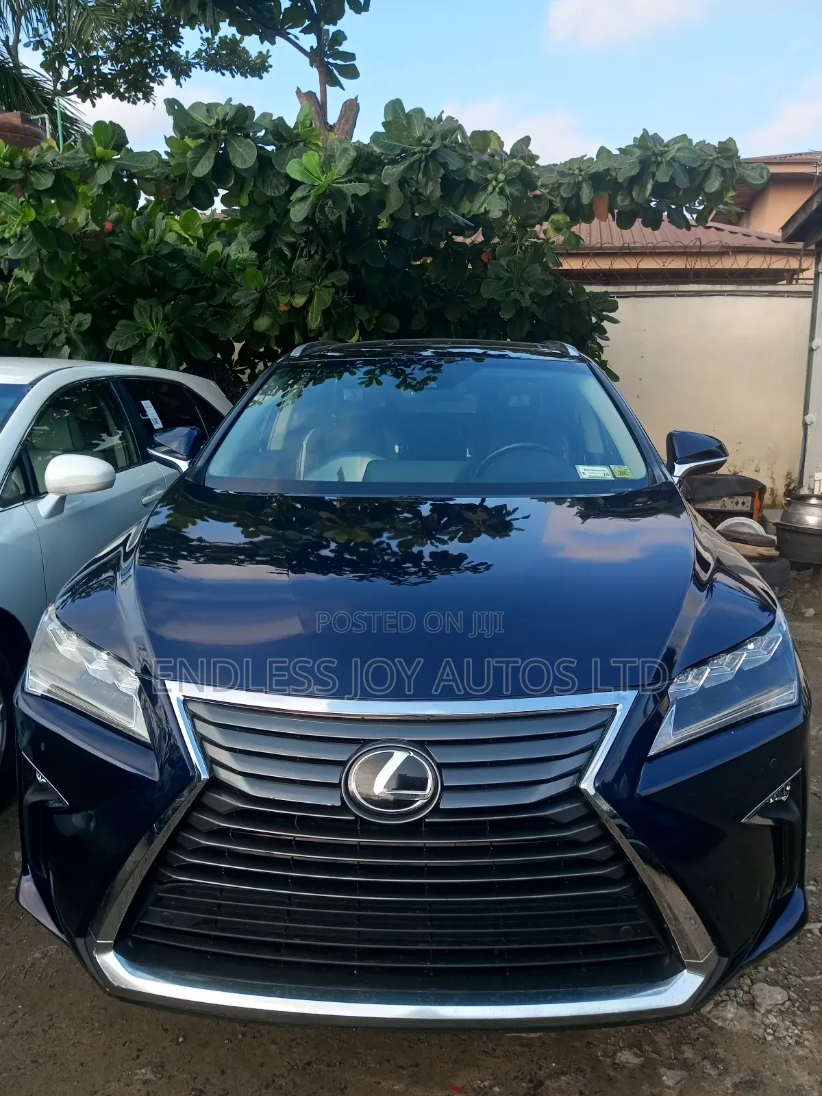 Lexus RX 2018 Blue