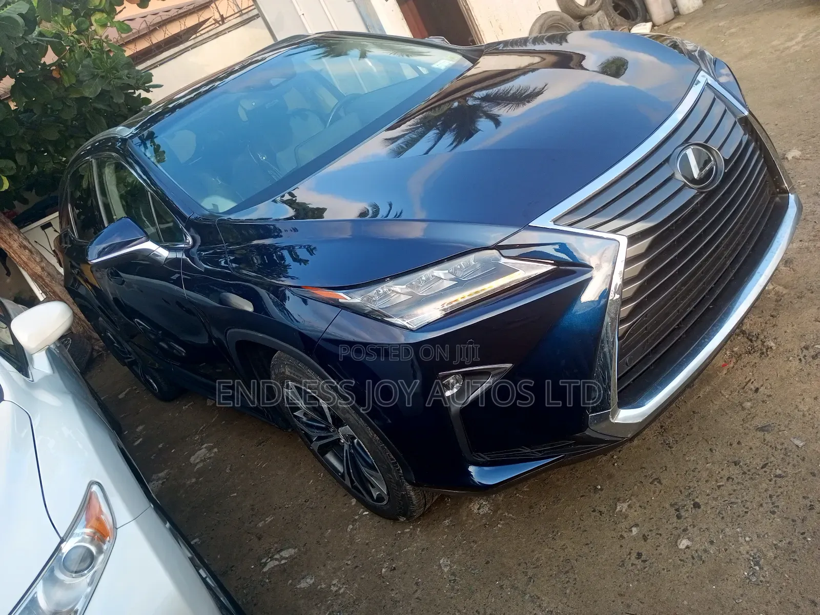 Lexus RX 2018 Blue