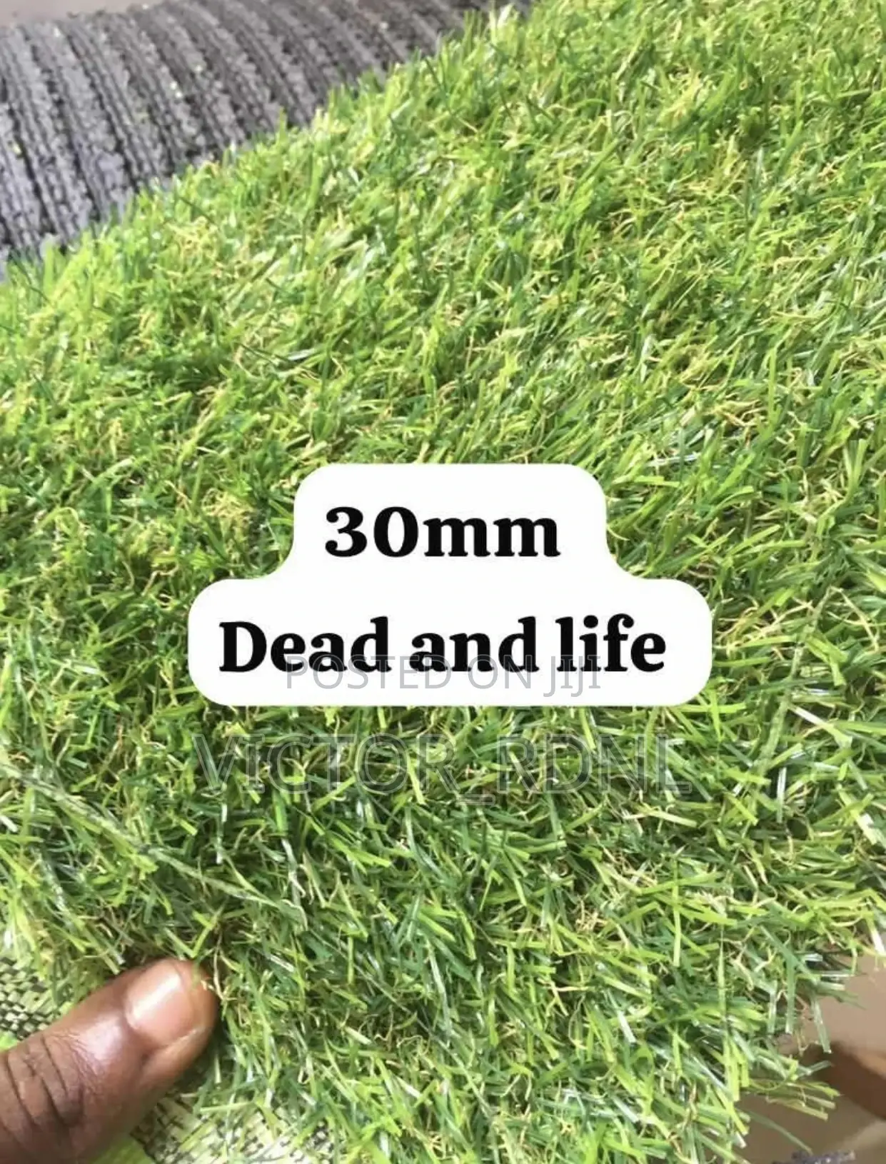 20mm, 30mm, 40mm, 50mm Carpet Grass