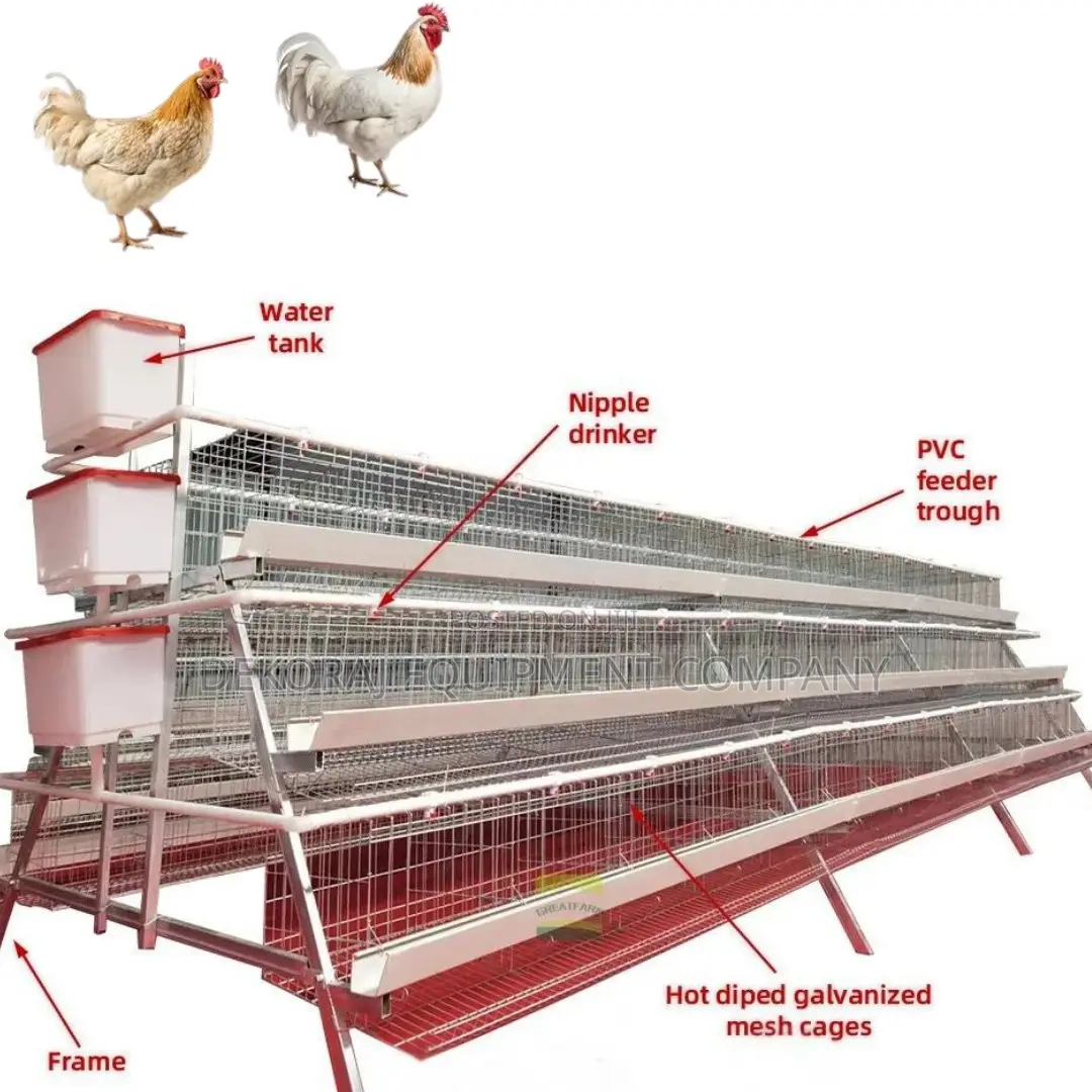 Efficient 20yrs 96-Bird Poultry Cage Superior Construction