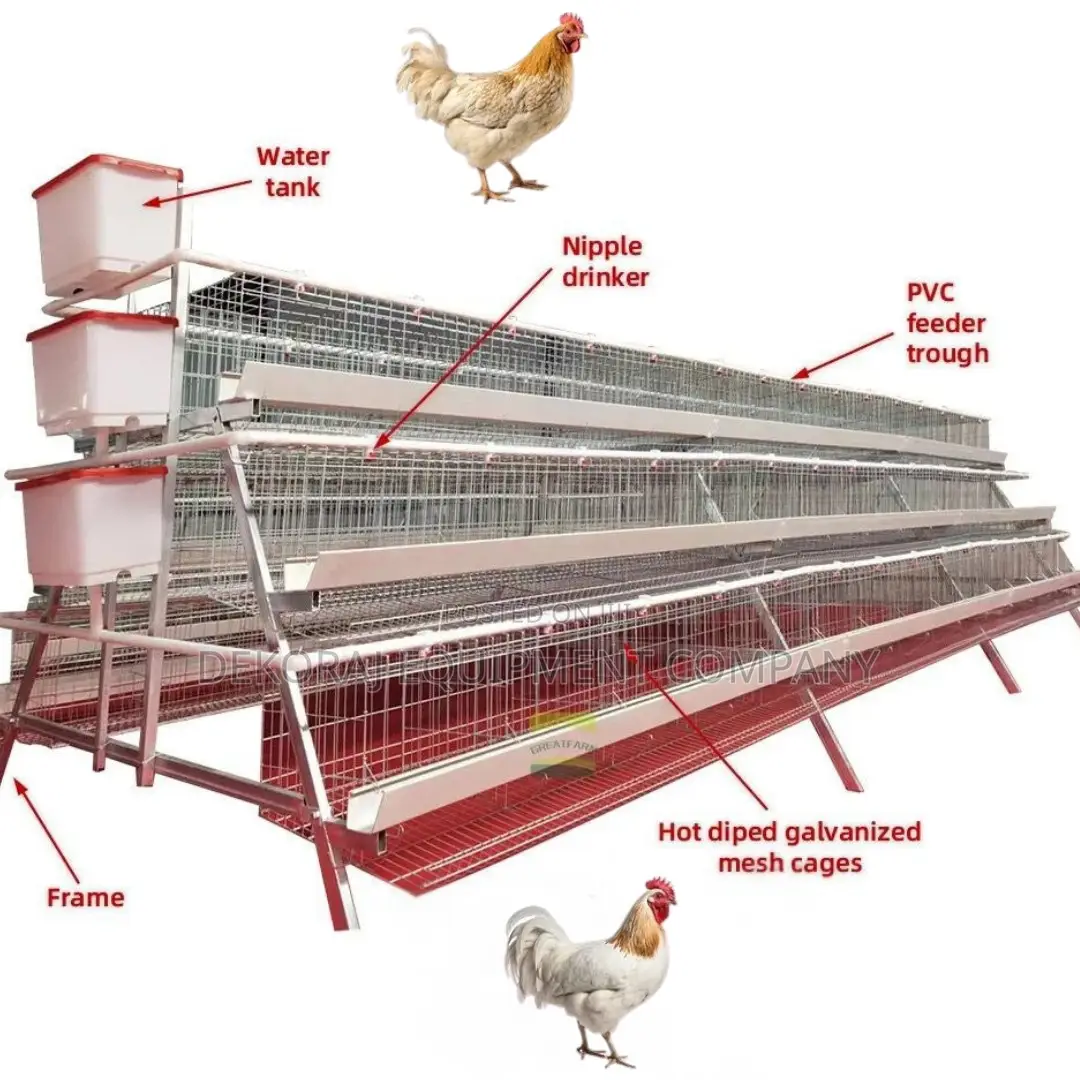 Invest in Quality 96-Bird Poultry Cage 20-Year Durability