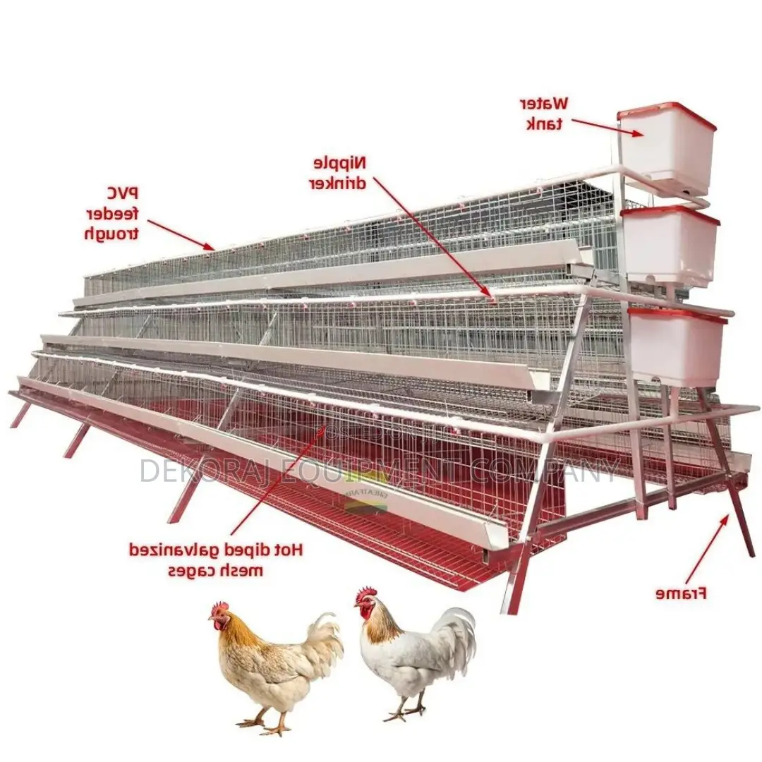 96-Bird Capacity Cage Durable, Efficient, Long-Lasting