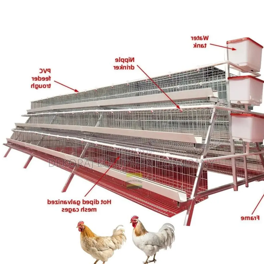 Maximize Efficiency 96-Bird Cage With Superior Construction