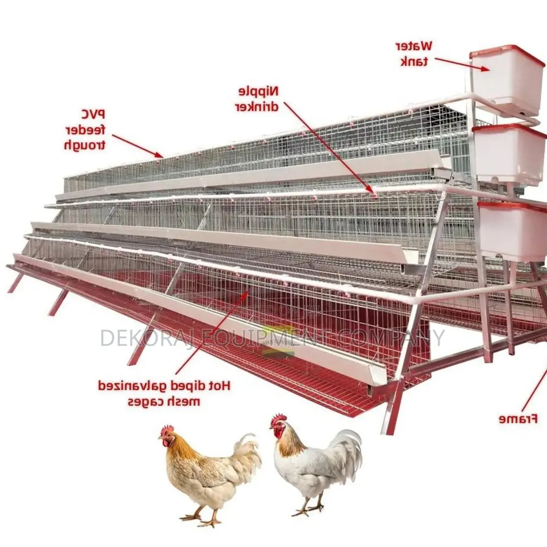 Invest Smart 96-Bird Cage With 20-Year Durability Guarantee