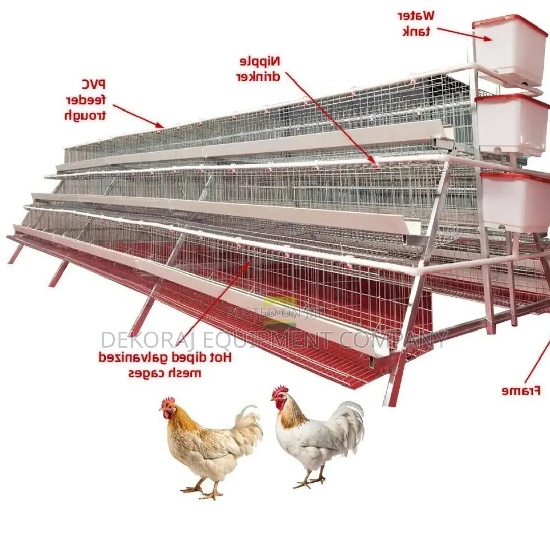 Superior 96-Bird Cage: Built to Last, 20-Year Guarantee