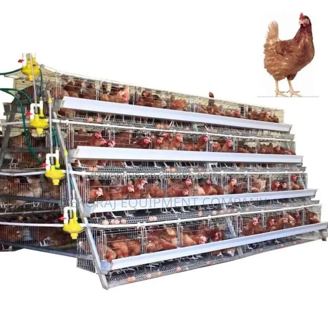 96-Bird Poultry Cage for Large-Scale Farms 20-Year Guarantee