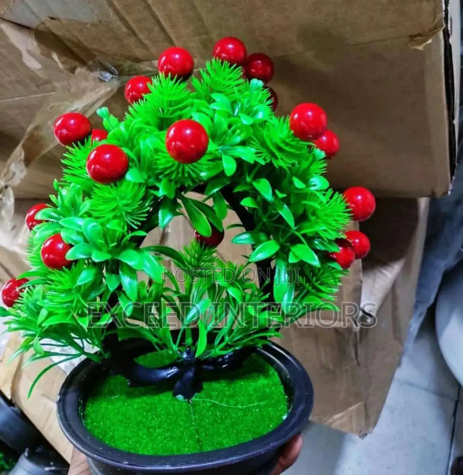 Beautiful Imported Flowers