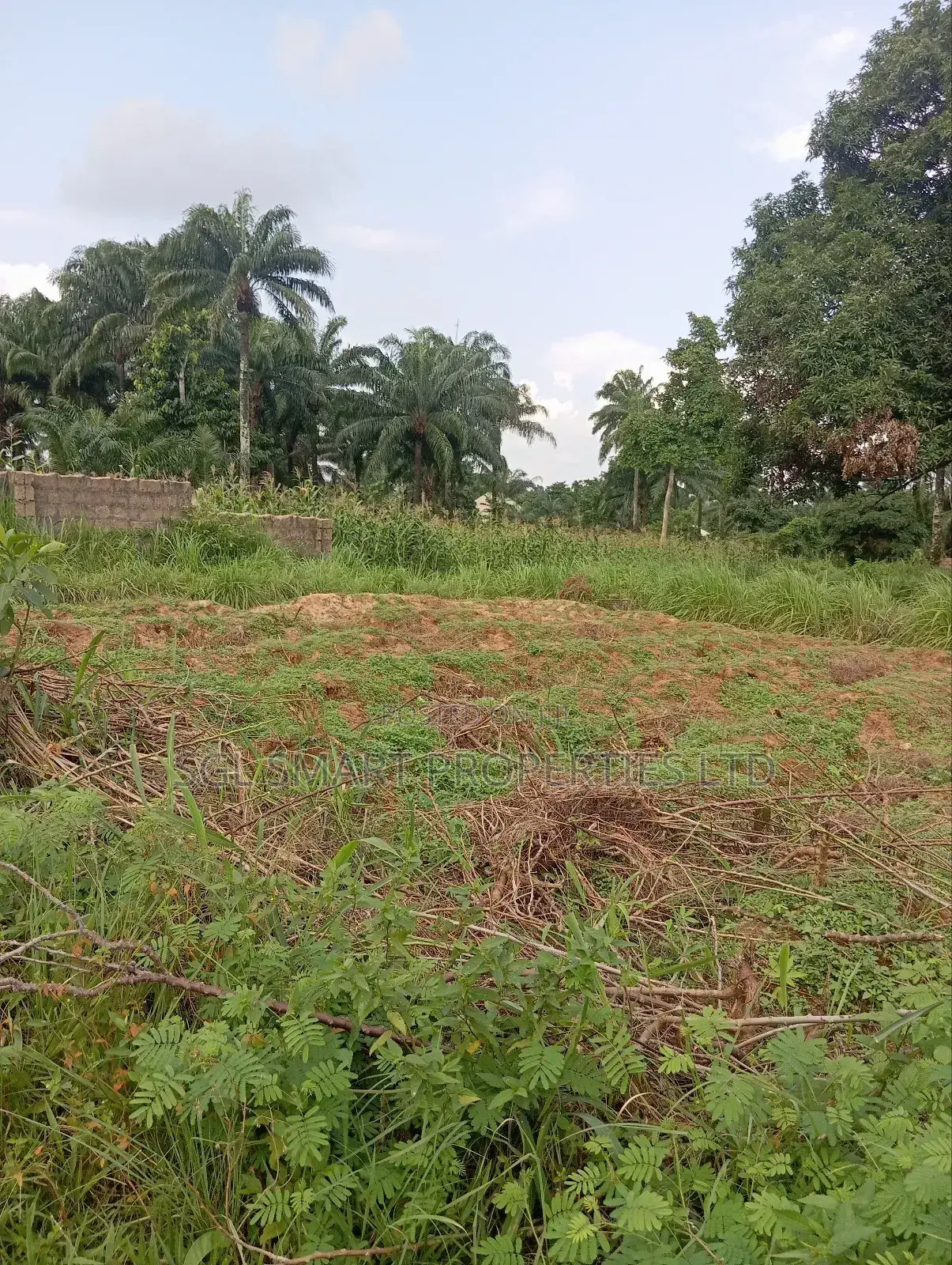 Almost 2 Plots of Land for Sale Nibo/Nise Boundary