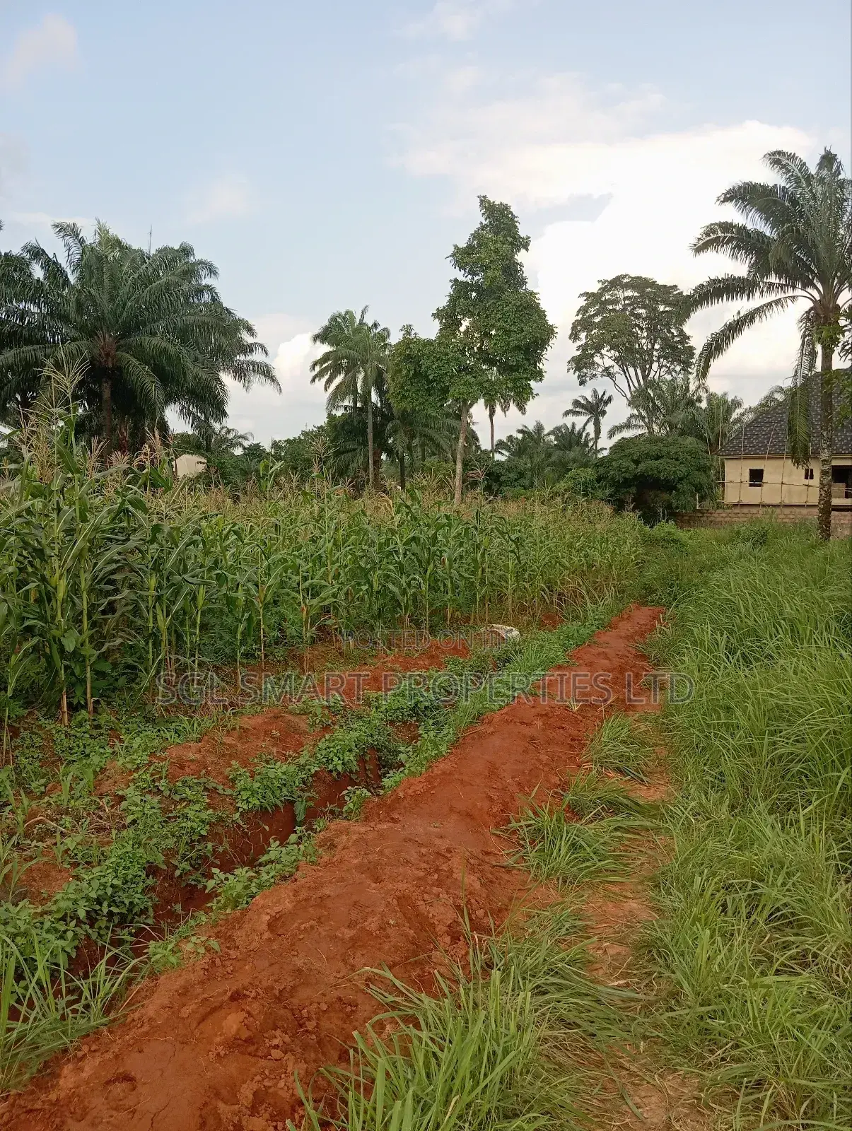 Almost 2 Plots of Land for Sale Nibo/Nise Boundary