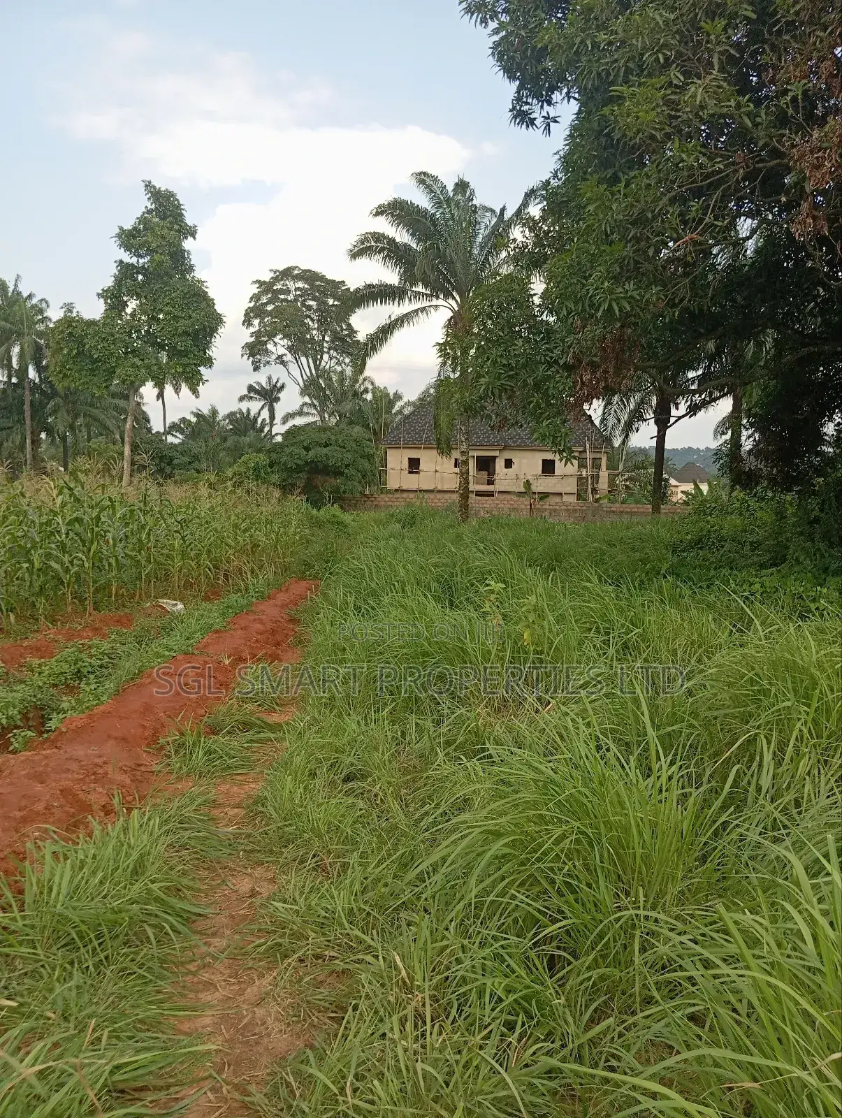 Almost 2 Plots of Land for Sale Nibo/Nise Boundary