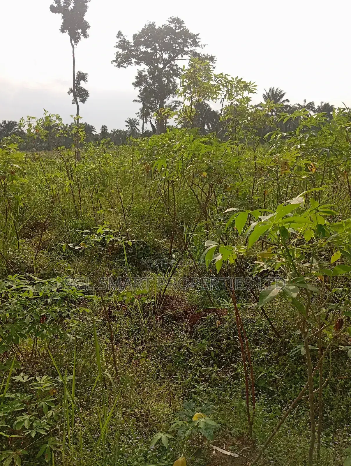 1 and Half Plots for Sale at Umuazu Nibo/Nise