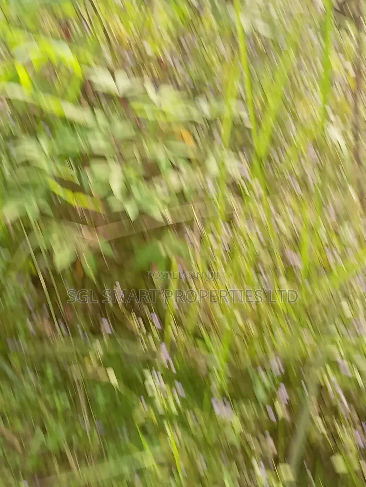 1 and Half Plots for Sale at Umuazu Nibo/Nise