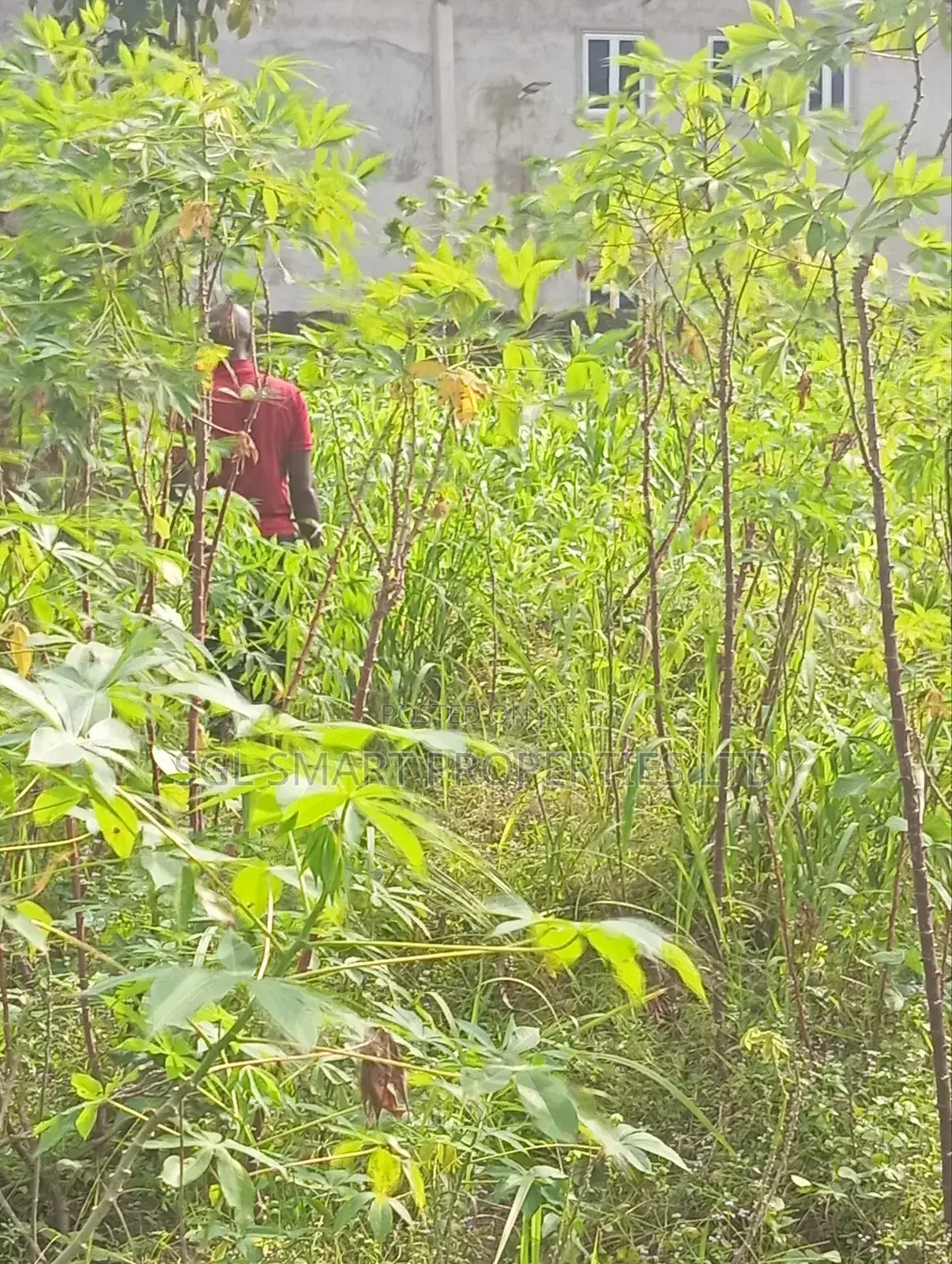 1 and Half Plots for Sale at Umuazu Nibo/Nise