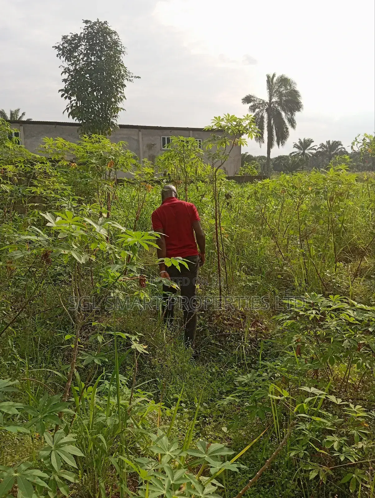 1 and Half Plots for Sale at Umuazu Nibo/Nise