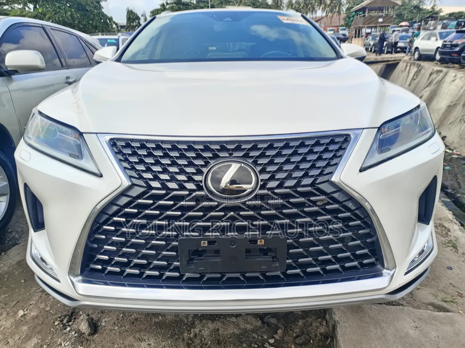 Lexus RX 2022 White