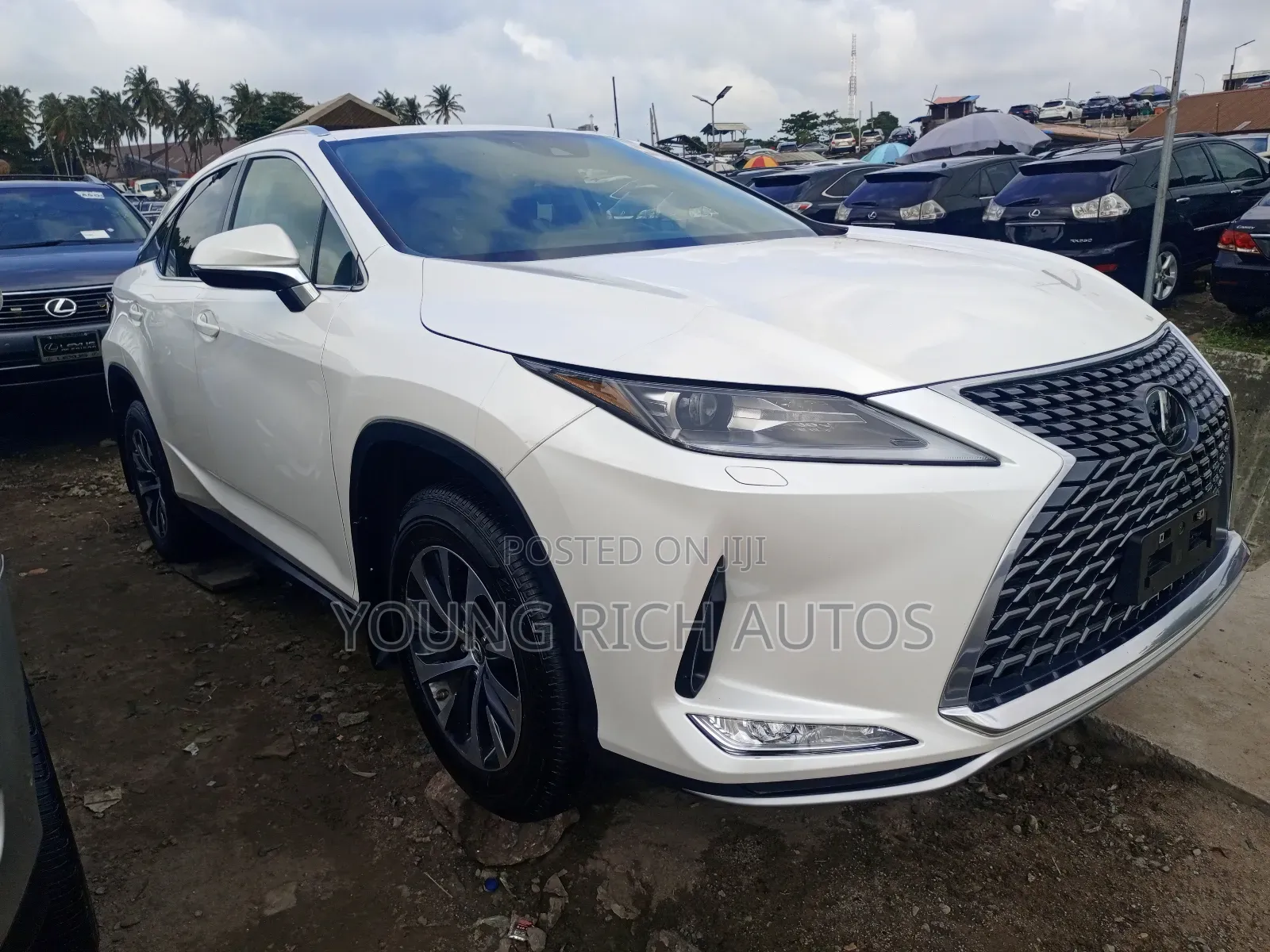 Lexus RX 2022 White